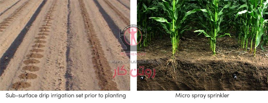 آبیاری قطره ای زیرسطحی