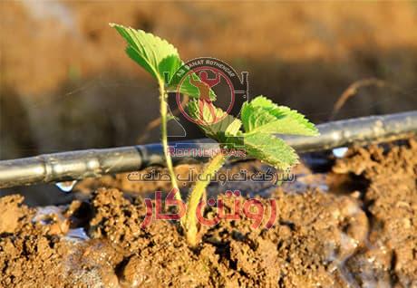 دریپر در خط